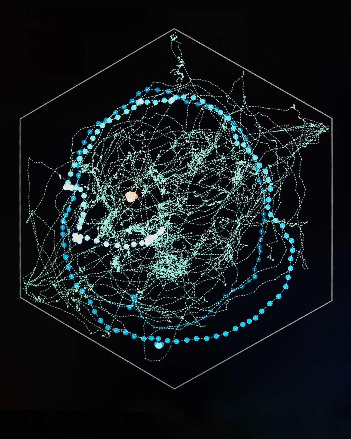 A CODE Hexagon terében mozgó látogatók adatait megjelenítő Hexaviz